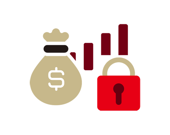 Investment portfolio